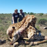 Kudu Valley Safari - Images