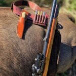 Kudu Valley Safari - Images