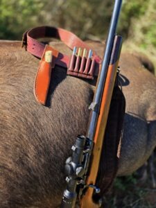 Kudu Valley Safari - Images