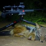 Kudu Valley Safari - Images