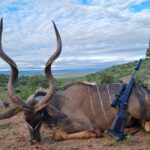 Kudu Valley Safari - Images