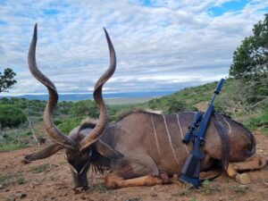 Kudu Valley Safari - Images