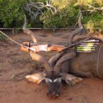 Kudu Valley Safari - Images