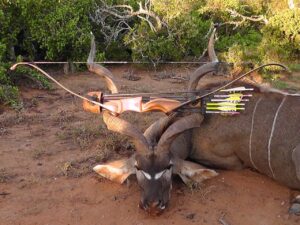 Kudu Valley Safari - Images